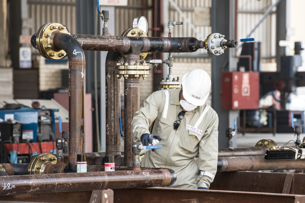 Plant inspection services